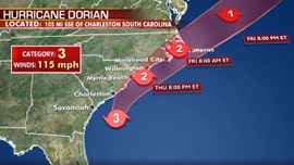 Alligator spotted out in hurricane: 'Gator and #Dorian moving at same speed'