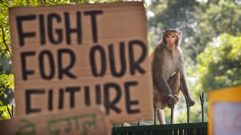 Global Climate Strike kicks off with thousands skipping school or work for demonstrations across the world