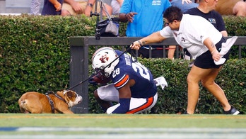 Auburn Tigers running back accidentally falls into Mississippi State dog mascot