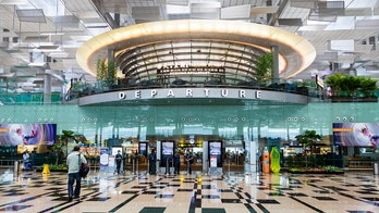Singapore police arrest man at Changi Airport for buying boarding pass just to say bye to his wife