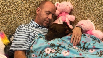 Kansas dog that lived at shelter for more than 400 days finally gets adopted after human moves in