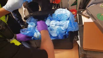 UK airport drug bust turns out to be suitcase full of cake ingredients