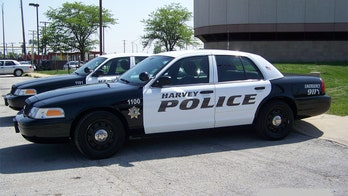 Illinois girl, 11, critical after being shot in head the day before her birthday, reports say