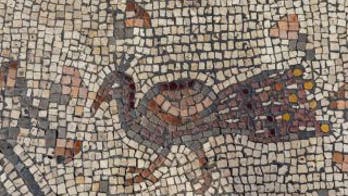 Mosaic discovered in Israeli 'Burnt Church' may depict Jesus’ miracle of the loaves and fishes