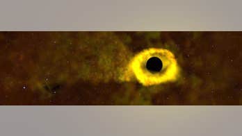 NASA's planet hunter has found a 'star-shredding' black hole