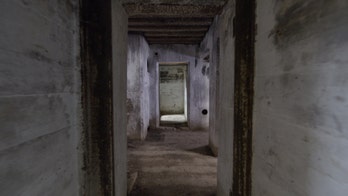 Possible mass grave found near Auschwitz death camp in Poland