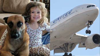 Dog owner blames United Airlines for animal's alleged heatstroke death: 'They literally fried him'