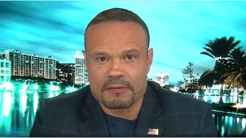 Dan Bongino says 'warning signs' of past mass shooters were overlooked or 'not followed up on'