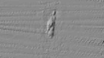 Mysterious shipwreck spotted, may be merchant ship sunk by U-boat during WW II