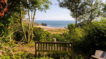 Beach bench selling for $614G – here's why