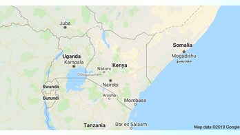 At least 7 killed as school collapses in Kenya's capital