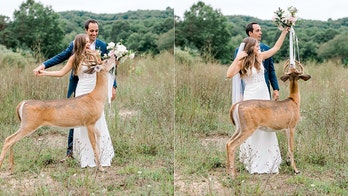 Deer photo-bombs wedding pictures, eats bride's bouquet