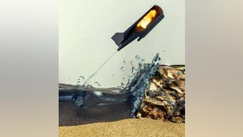 ‘Flying fish’ robot propels itself out of water and glides through the air