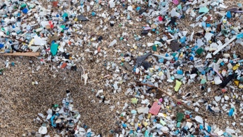 Highest-ever concentration of microplastics found on seafloor, study reveals