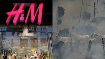 H&M stops buying Brazilian leather over Amazon rainforest fires
