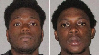 McDonald’s customers brandish guns, threaten employee over cold hamburgers