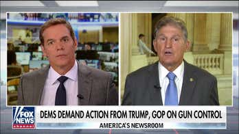 Most gun owners support bill to expand background checks, Manchin says
