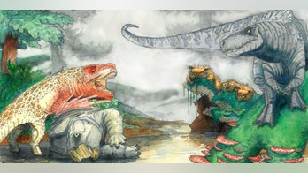 Enormous 30-foot crocodile terrorized dinosaurs 210M years ago