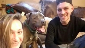 Long Island man who strangled neighbor's pit bull faces animal cruelty charge