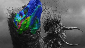 T. rex had a massive, stiff skull that it used to devour its prey