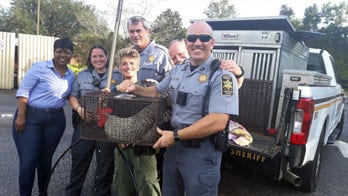 South Carolina Taco Bell calls police on 'rowdy rooster'