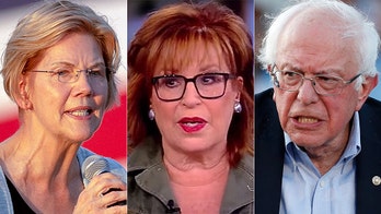 Joy Behar says she'd like to see Elizabeth Warren 'put Bernie in a headlock'