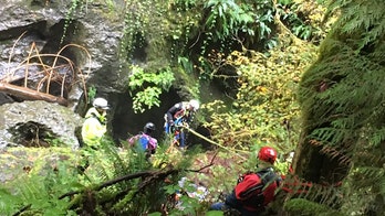 Washington man rescued, in critical condition, after plummeting nearly 30 feet over waterfall, reports say