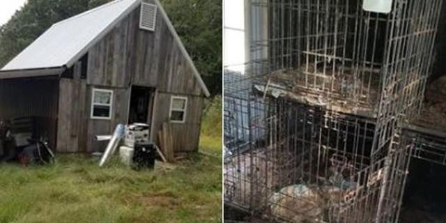 Authorities have charged a couple after finding nearly 150 dead dogs and hundreds more animals in “various stages of decay” at properties in Missouri and Texas.