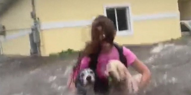 Dramatic video shows Priscilla Aylen's granddaughter, Julia, wading through intense floodwaters with the family's dogs trying to get to safety.