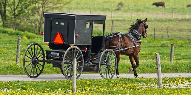 Amish buggies have orange safety triangles on their rear to indicate to other drivers they are slow-moving vehicles.