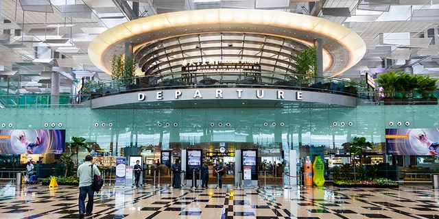 The <a data-cke-saved-href="https://www.foxnews.com/category/travel" href="https://www.foxnews.com/category/travel">Changi Airport</a> is one of the busiest — and most famous — airports in the world with a record 65.6 million passengers in 2018.