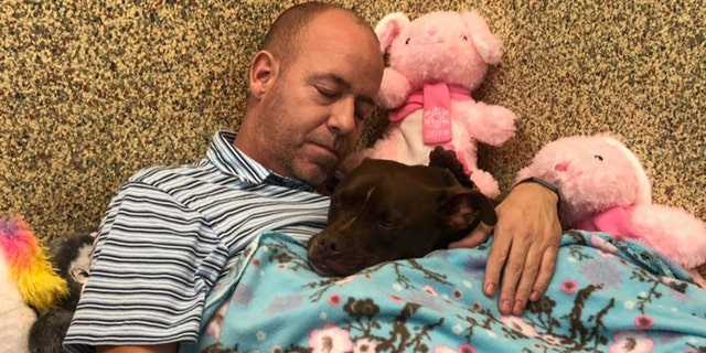 Scott Poore and Queen. Poore decorated the dog's room and moved in with her with the goal of attracting the attention of a potential adopter.