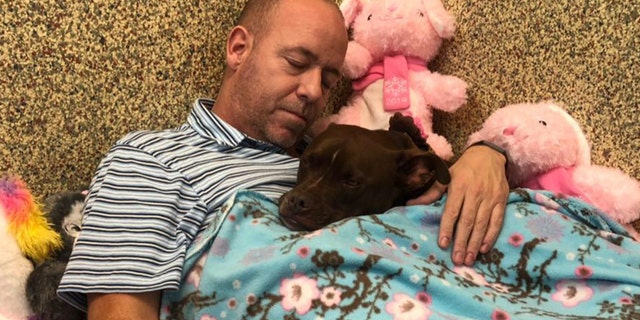 Scott Poore and Queen. Poore decorated the dog's room and moved in with her with the goal of attracting the attention of a potential adopter.