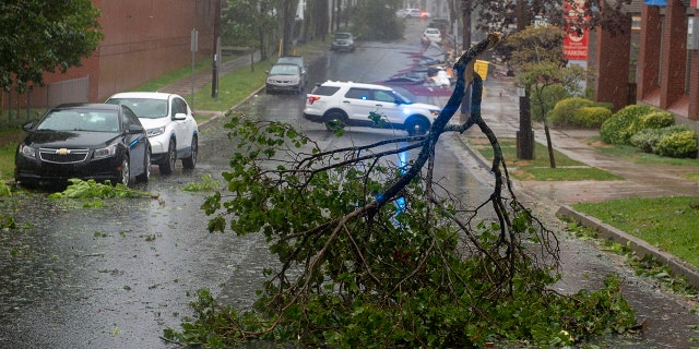 Tree branches block a street in Halifax, Nova Scotia as Hurricane Dorian approaches on Saturday, Sept. 7, 2019.