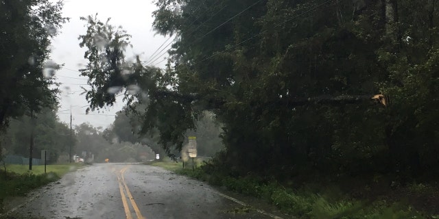 Tornadoes hit Carolinas as Hurricane Dorian floods Charleston; 200K without power 3 Dorian caused trees to hang over power lines in South Carolina.