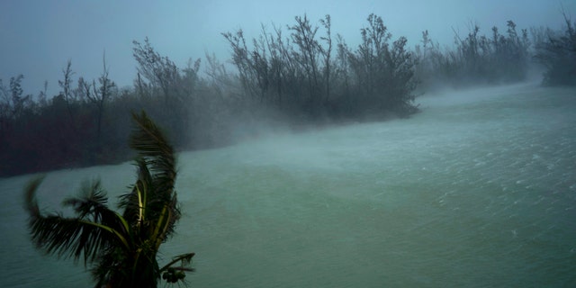Strong winds from Hurricane Dorian blow the tops of trees and brush while whisking up water seen from the balcony of a hotel in Freeport, Grand Bahama, Bahamas, Monday, Sept. 2, 2019.