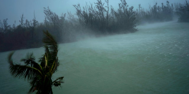 Strong winds from Hurricane Dorian blow the tops of trees and brush while whisking up water seen from the balcony of a hotel in Freeport, Grand Bahama, Bahamas, Monday, Sept. 2, 2019.