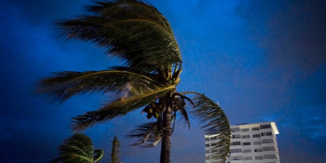 Strong winds move the palms of the palm trees at the first moment of the arrival of Hurricane Dorian in Freeport, Grand Bahama, Bahamas, Sunday Sept. 1, 2019.