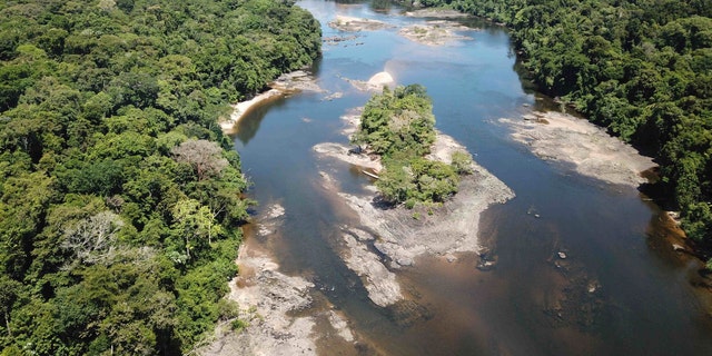 This undated photo provided by researchers in September 2019 shows typical electric eel highland habitat in Suriname's Coppename River. Two newly discovered electric eel species live in the highland regions of the Amazon.