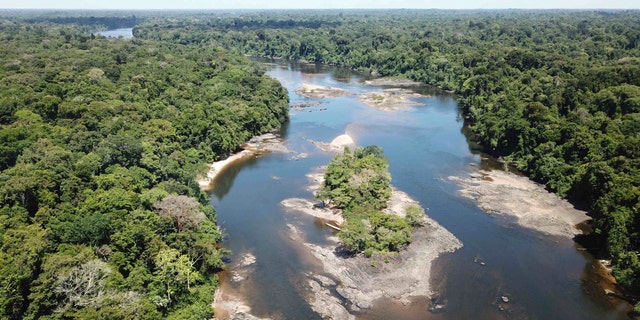 This undated photo provided by researchers in September 2019 shows typical electric eel highland habitat in Suriname's Coppename River. Two newly discovered electric eel species live in the highland regions of the Amazon.