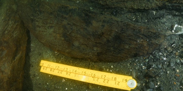 Part of a barrel head at the shipwreck site. (Photo by John Cassese © RIMAP 2019)