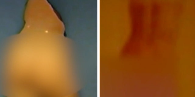 Entering the master bedroom, police discovered a drawing of a bare female backside and a painting of a naked woman.