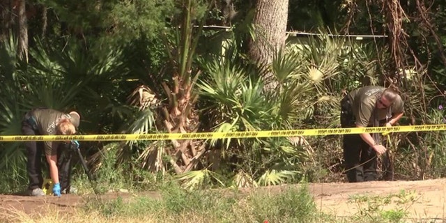 Investigators spent Saturday combing through the scene.