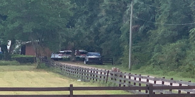 Three people were killed when a small plane crashed in DeLand, Fla. on Sunday afternoon.