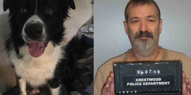 John Conrad Ross II, 56, is accused of stabbing Teddy, a Border collie, at least seven times when it ran into his property.