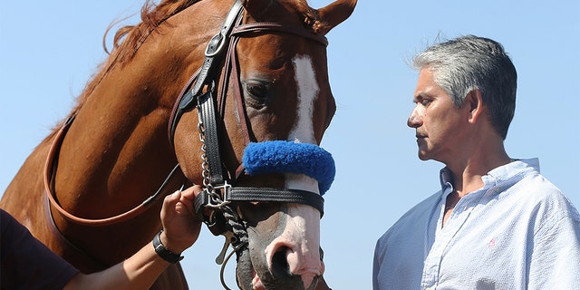 Justify is paraded for fans after being retired from racing at Del Mar Thoroughbred Club in July 2018. (Getty Images)