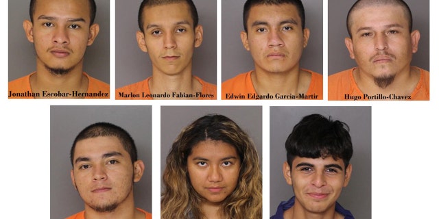 6 MS-13 gang members, illegal immigrants involved in deadly Maryland stabbing, ICE says 2 The suspects in the killing of Daniel Alejandro Alvarado Cuellar.