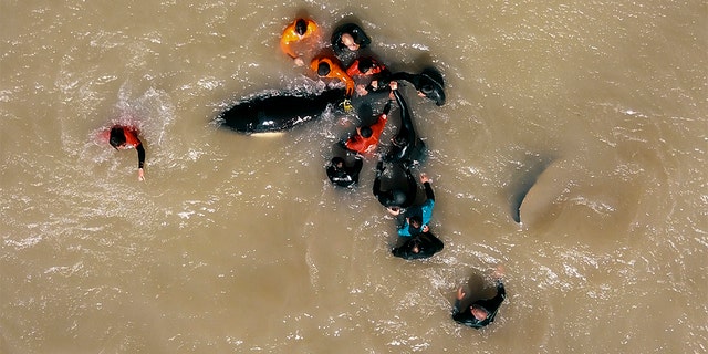 At least two rescuers reportedly had to stop rescuing the whales and needed to be treated for hypothermia.