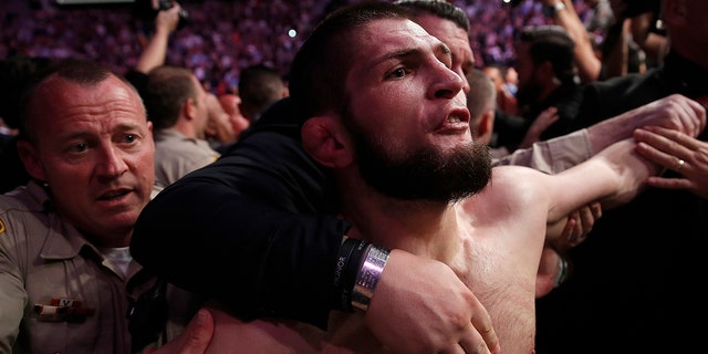 FILE - In this October 6, 2018 file photo, Khabib Nurmagomedov is held outside the cage after battling Conor McGregor in a mixed martial arts fight for the lightweight title at UFC 229 in Las Vegas.  (AP Photo / John Locher, file)
