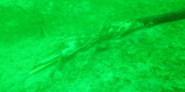The severed fiber-optic cable discovered by divers.